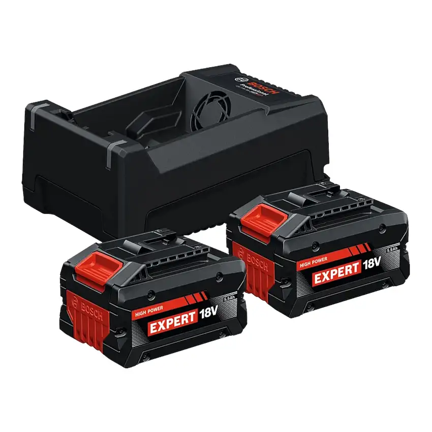Bosch 2x EXBA 18V-55 + GAL 12V/18V-80 EXPERT Starter Set 18 V ( 1600A0373P ) 2x Akku 5,5 Ah + Ladegerät 8 A AMPShare