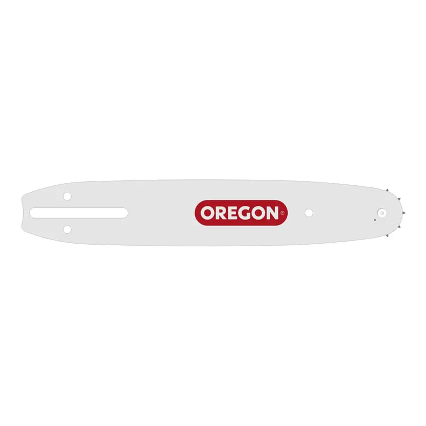 Oregon Double Guard Schwert 25 cm 1,3 mm 3/8