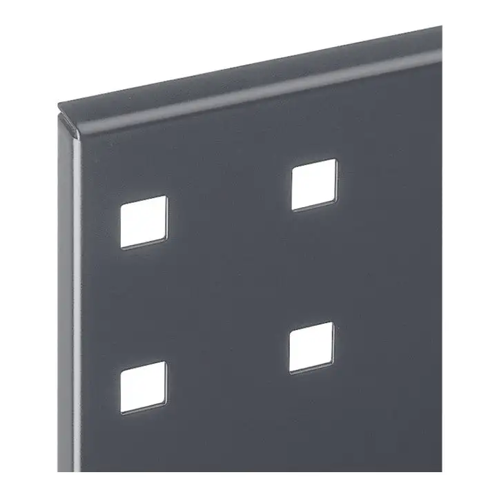 RASTERPLAN Lochplatte B450xL500mm ( 9000428174 )