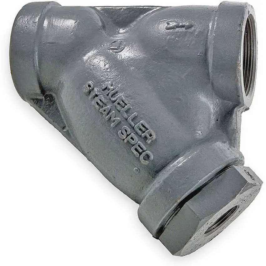 MUELLER STEAM  581SS 304SS Perf 1/16 Perf 1 M6700593 Korbsieb, 1 Zoll Größe, NPT, 304SS Perf-Sieb, 1/16 Zoll Maschenweite