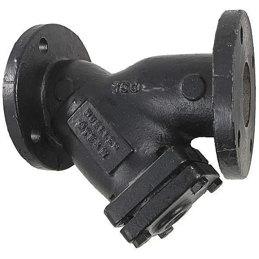 MUELLER STEAM  758-N 304SS Perf 1/16 2 M6706955 Korbsieb, 2 Zoll Größe, 125# Flansch, 304SS Perf-Sieb, 1/16 Zoll Maschenweite