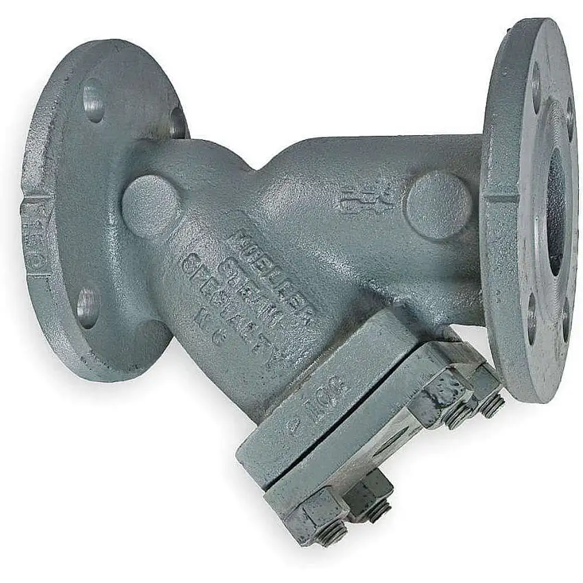 MUELLER STEAM  781CS-N 304SS Perf 1/8 3 M6726125 Korbsieb, 3 Zoll Größe, 150# Flansch, 304SS Perf-Sieb, 1/8 Zoll Maschenweite