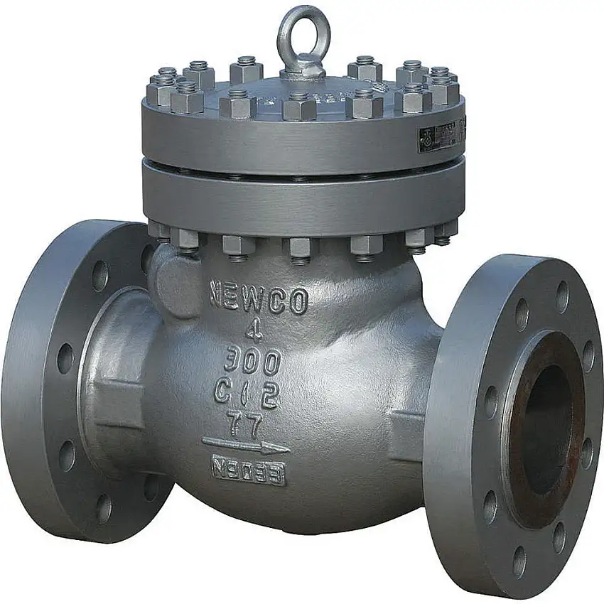 NEWCO 02-33F-CB2 Rückschlagventil aus Kohlenstoffstahl, 2 Zoll
