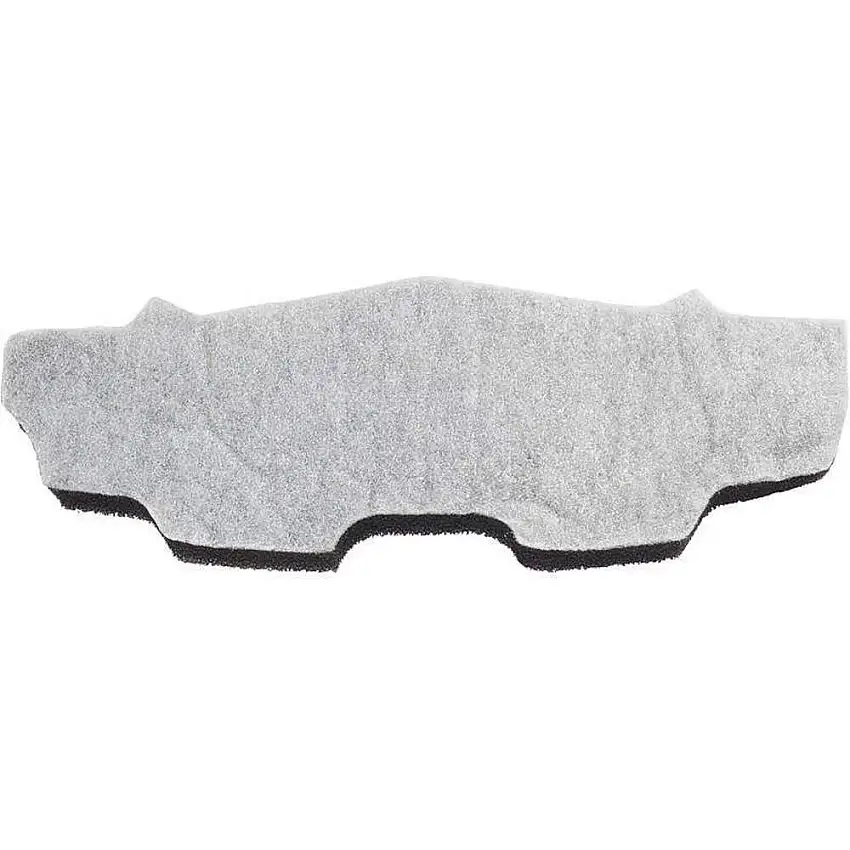 PROTEAM  834721 Filter, mehrlagiger HEPA-Schaum, ProGen