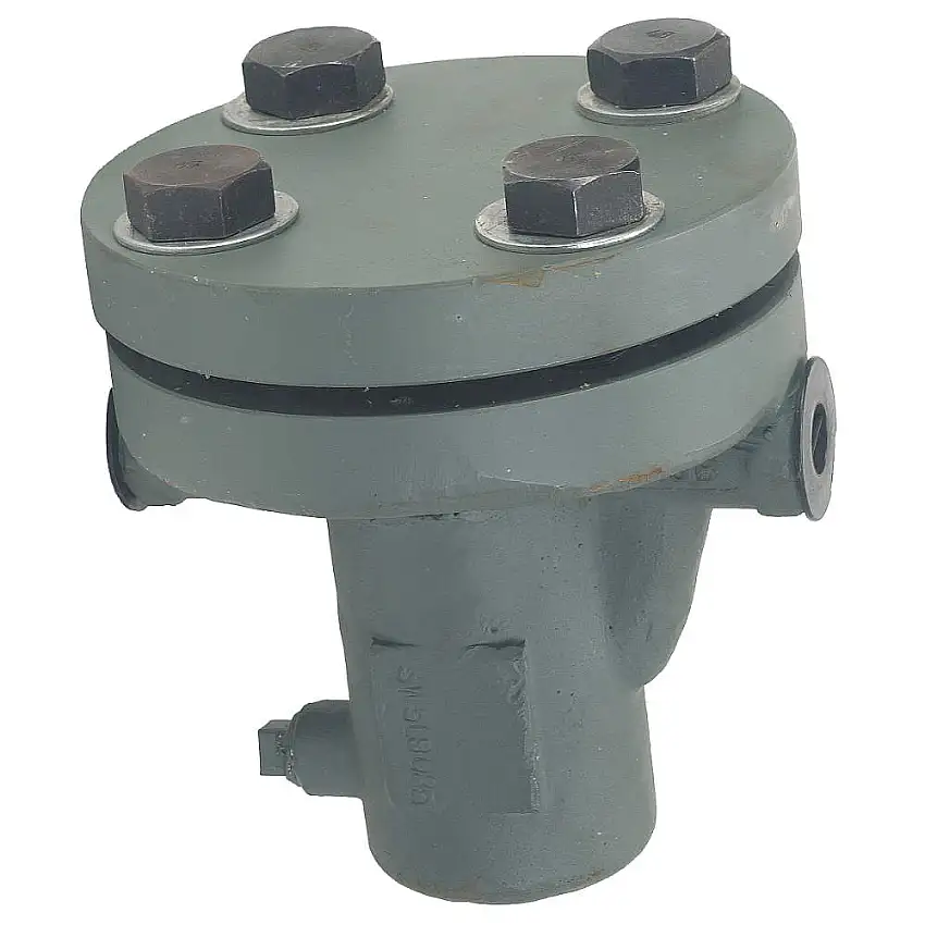 SSI 0050-300B2TC-1 Korbsieb 1/2 Zoll Fnpt Kohlenstoffstahl