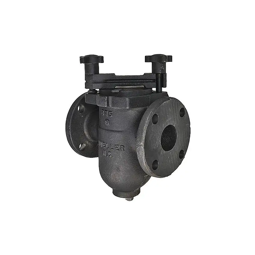 MUELLER STEAM  155M 304SS Perf 1/16 2 M6701310 Korbsieb, 2 Zoll Größe, 125# Flanschenden, 304SS perf Sieb, 1/16 Zoll Maschenweite