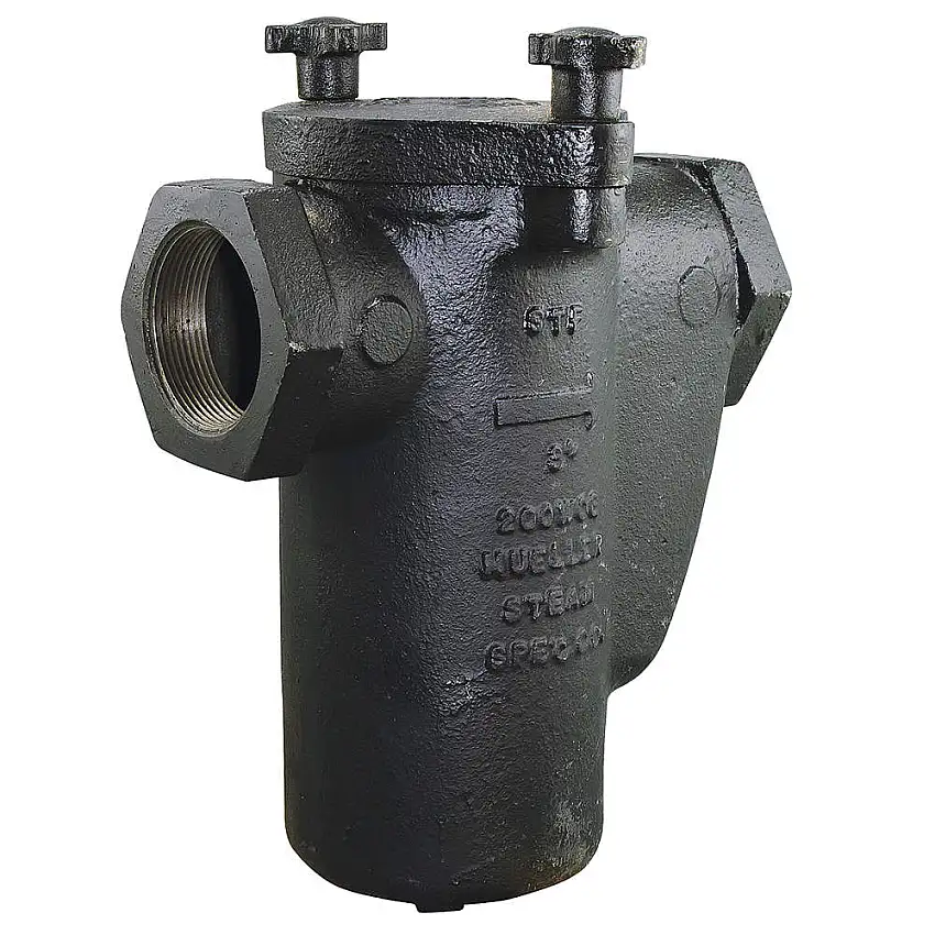 MUELLER STEAM  125F 304SS Perf 1/16 4 M6702811 Korbsieb, 4 Zoll Größe, 125# Flanschenden, 304SS Perf Screen, 1/16 Zoll Mesh