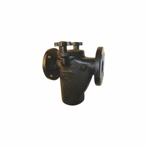 MUELLER STEAM  125F 304SS Perf 1/8 5 M6703339 Korbsieb, 5 Zoll Größe, 125# Flanschenden, 304SS Perf Screen, 1/8 Zoll Mesh