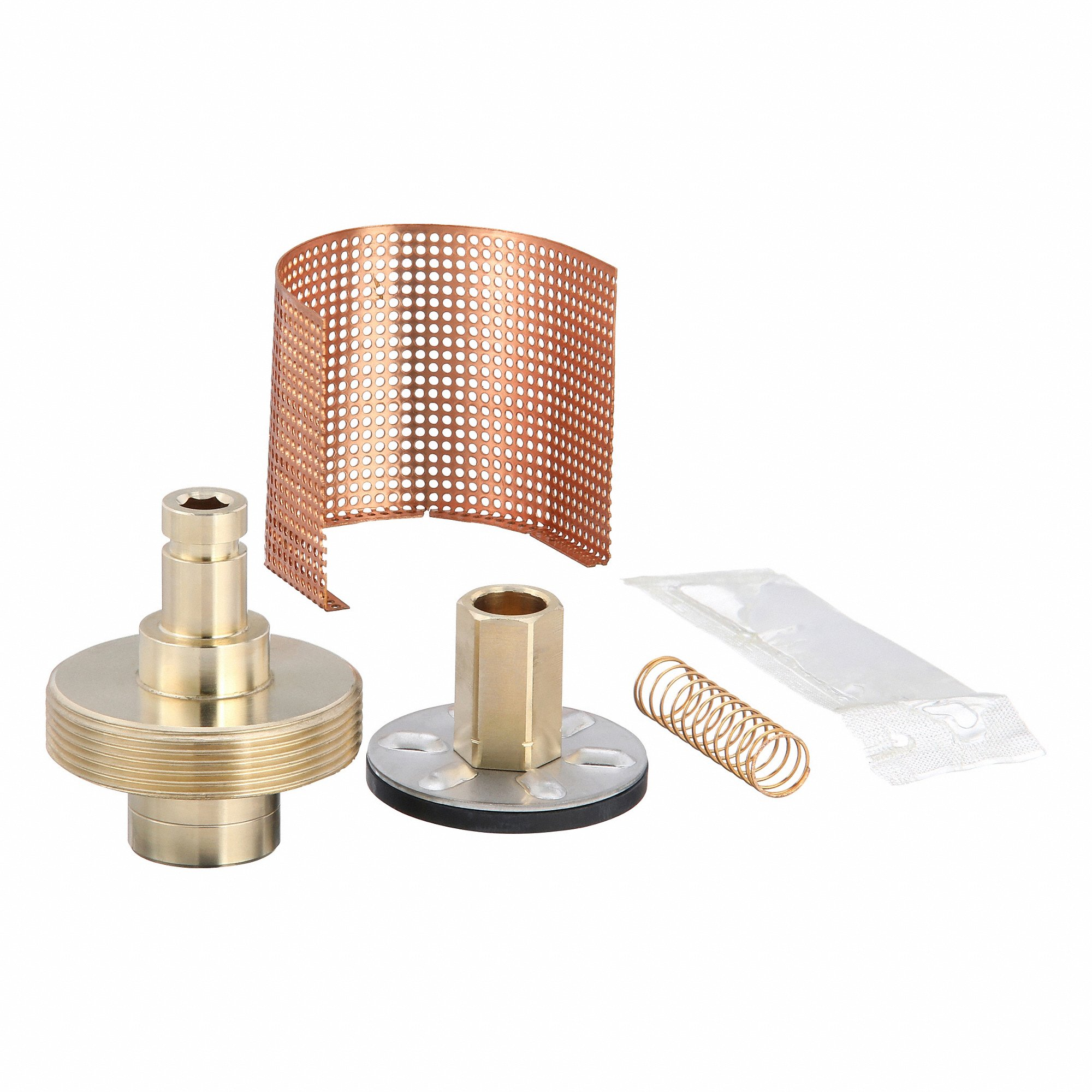 POWERS  LF390801 Ventilreparatursets, Bronze, 40 °F bis 200 °F